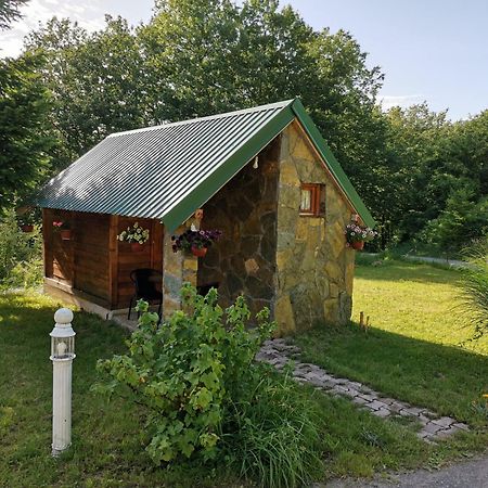 Bungalov Zivkovic Mojkovac Bagian luar foto